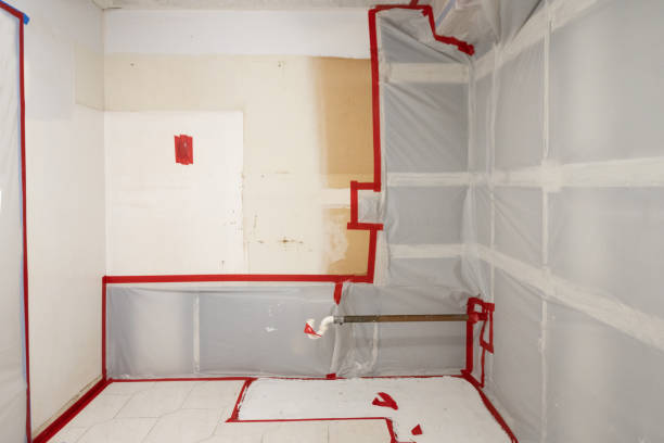 Best Post-Remediation Verification Testing  in San Rlos, CA