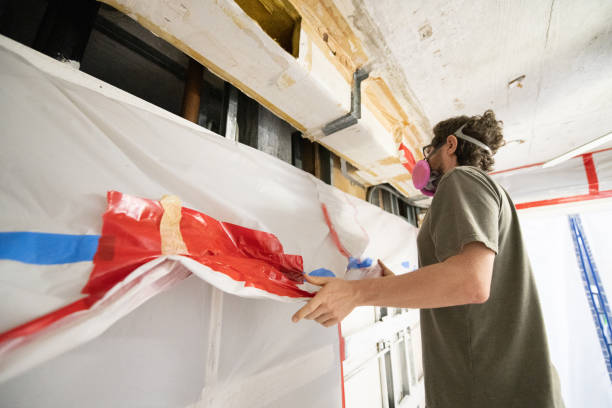 Best Basement Mold Removal  in San Rlos, CA