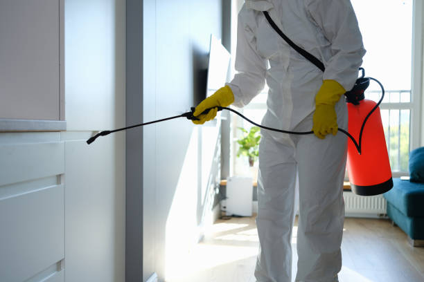 Best Biohazard Mold Removal  in San Rlos, CA